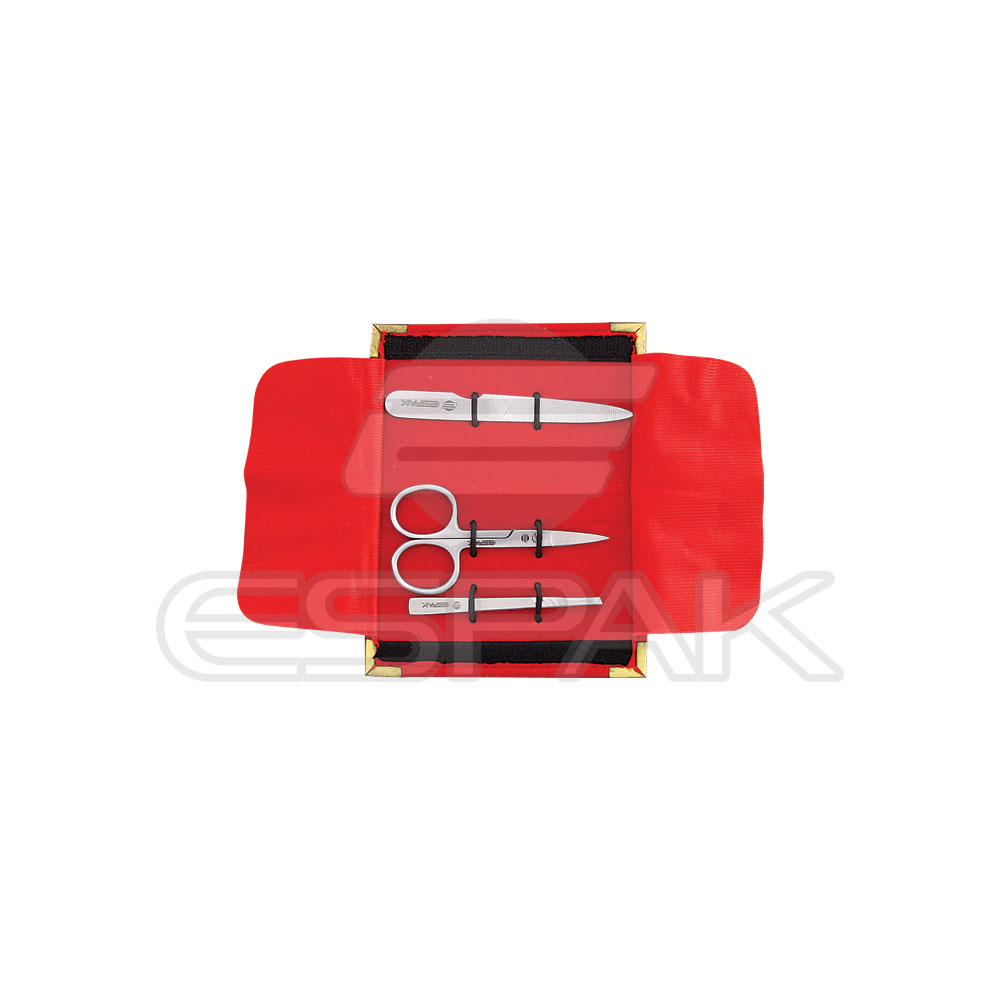 Professional Manicure Set
